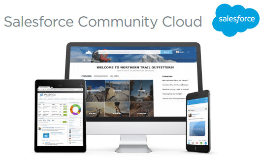 cost effective salesforce community services 