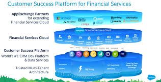 low cost salesforce financial cloud services
