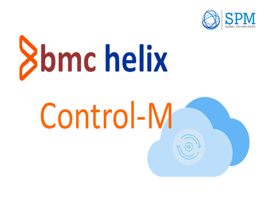 Helix Control-M Support Services
